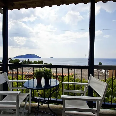 Violetta Νέο Κλήμα