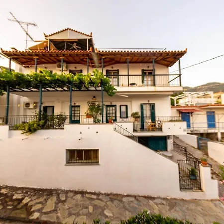 Violetta Νέο Κλήμα