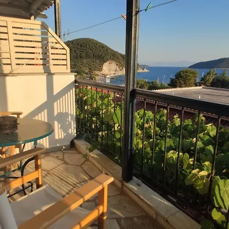 Violetta Νέο Κλήμα