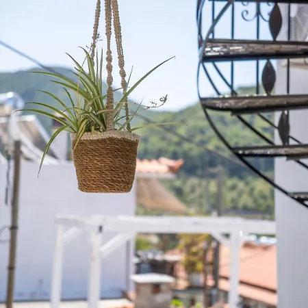 Apartmán Violetta Neo Klima