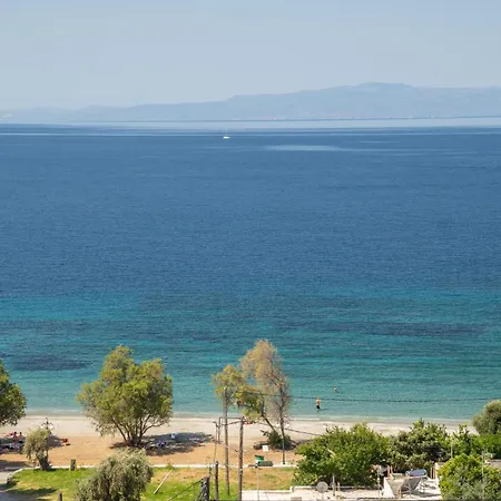 Violetta * Νέο Κλήμα