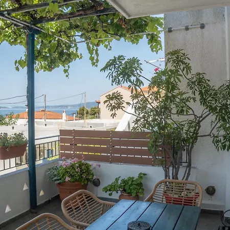 Violetta Appartement Neo Klima