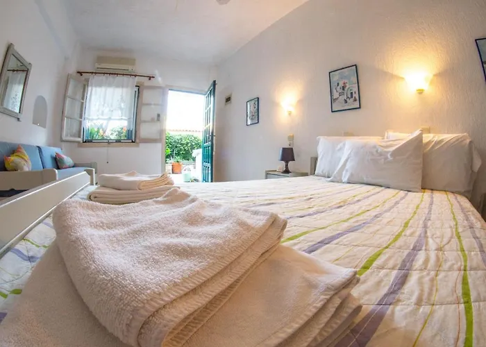 Violetta 尼欧克利马