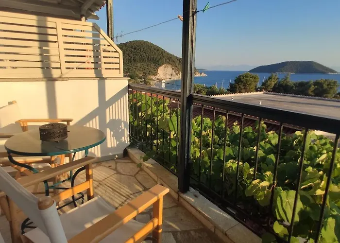 Violetta 尼欧克利马